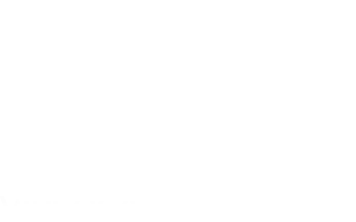 logo-nvgm